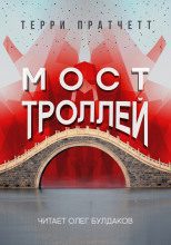 Пратчетт Терри – Мост троллей