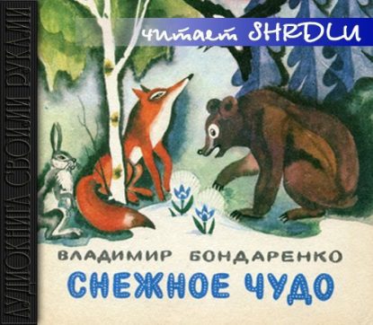 Снежное чудо  Бондаренко Владимир